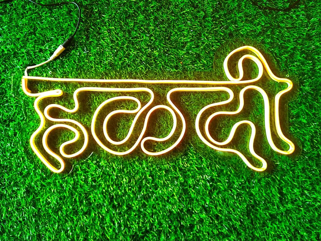 Marathi neon wall art sign