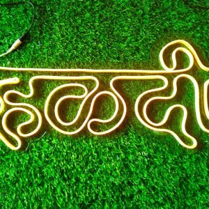 Marathi Neon Wall Art – Vibrant LED Wall Display (NWA-003)